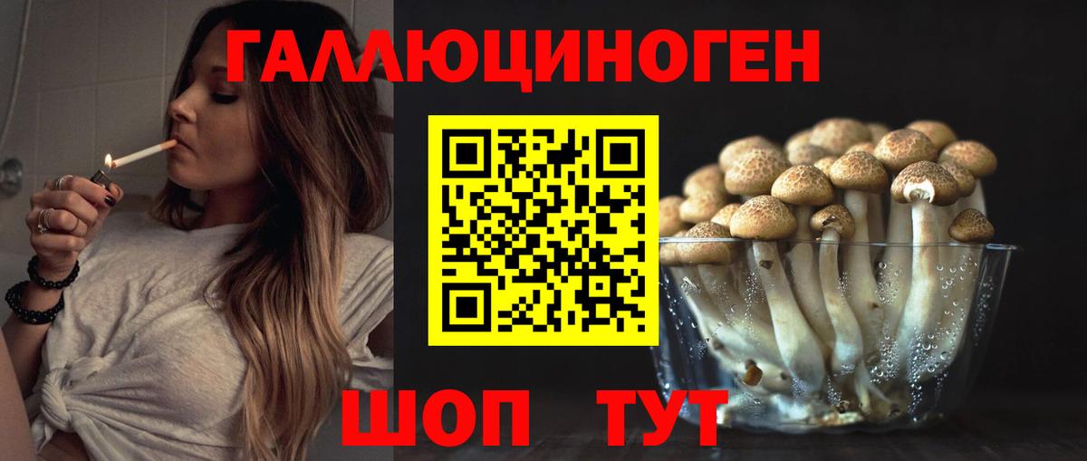 Галлюциногенные грибы MAGIC MUSHROOMS  Вход с VPN  наркошоп  Советск 