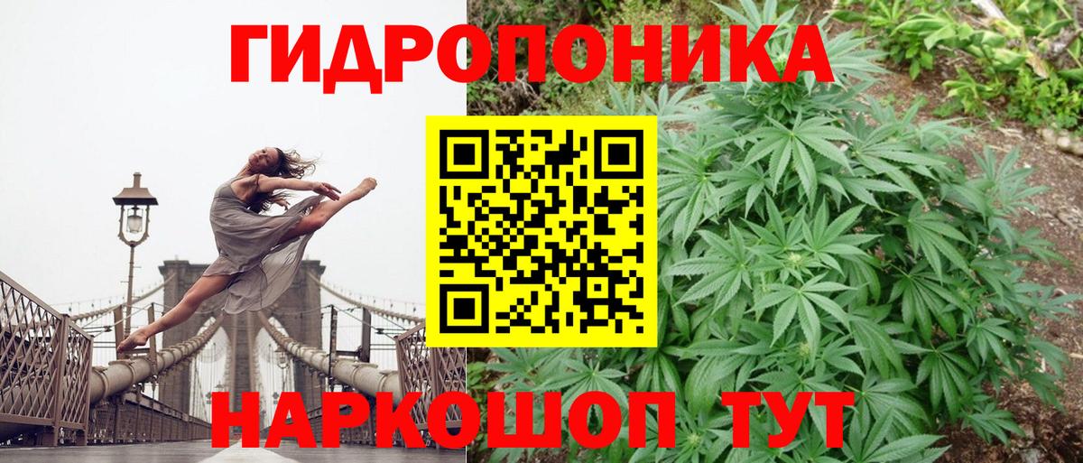Каннабис Amnesia  Каннабис индика  Вход с VPN  Советск 